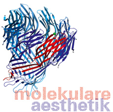molekular_web_2